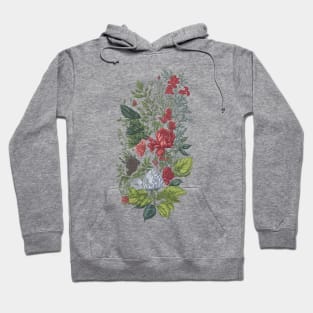 Vintage Botanical Illustration Hoodie